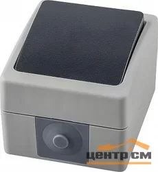 Выключатель одноклавишный ОП 250В, 10А, серый/графит (PSW10-111-54) Велена IP54 STEKKER