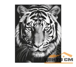 Картина интерьерная VS на стекле Tiger 40*50 арт.8145006