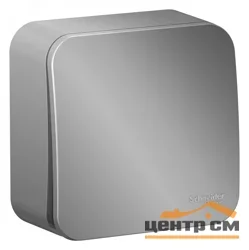 Выключатель одноклавишный ОП Blanca 10А IP20 (сх. 1) 250В с изолир. пластиной алюм. SE BLNVA101013