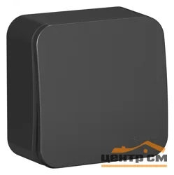 Выключатель одноклавишный ОП Blanca 10А IP20 (сх. 1) 250В с изолир. пластиной антрацит SE BLNVA101016