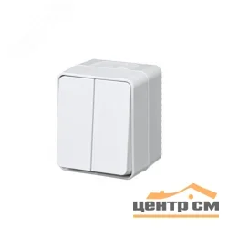 Выключатель двухклавишный ОП AtlasDesign PROFI IP54 10AX белый SE ATN540151