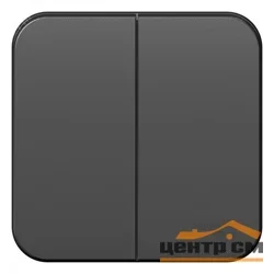 Выключатель двухклавишный ОП Blanca 10А IP20 (сх. 5) 250В с изолир. пластиной антрацит SE BLNVA105016