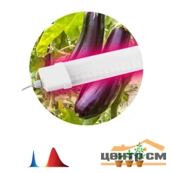 Фитопрожектор светодиодный линейный для растений и рассады FITO-36W-RB-N красно-синего спектра 36 Вт ЭРА