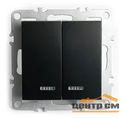 Механизм выключателя двухклавишный СП 220V, 10А, (механизм), черный (PSW10-9104-03) Эрна STEKKER