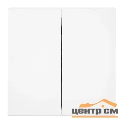 Переключатель двухклавишный (механизм) 250В 10А, белая магнолия, RSW10-3107-01 Мия STEKKER