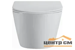 Унитаз подвесной DQ Rhein.Bach безободковый (торнадо) (DT1476516) 500*360*350мм, цвет белый